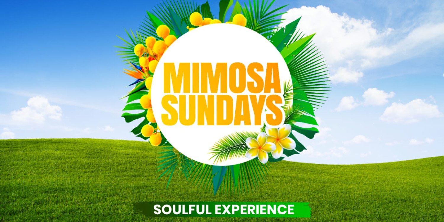 Mimosa Sundays Family picnic