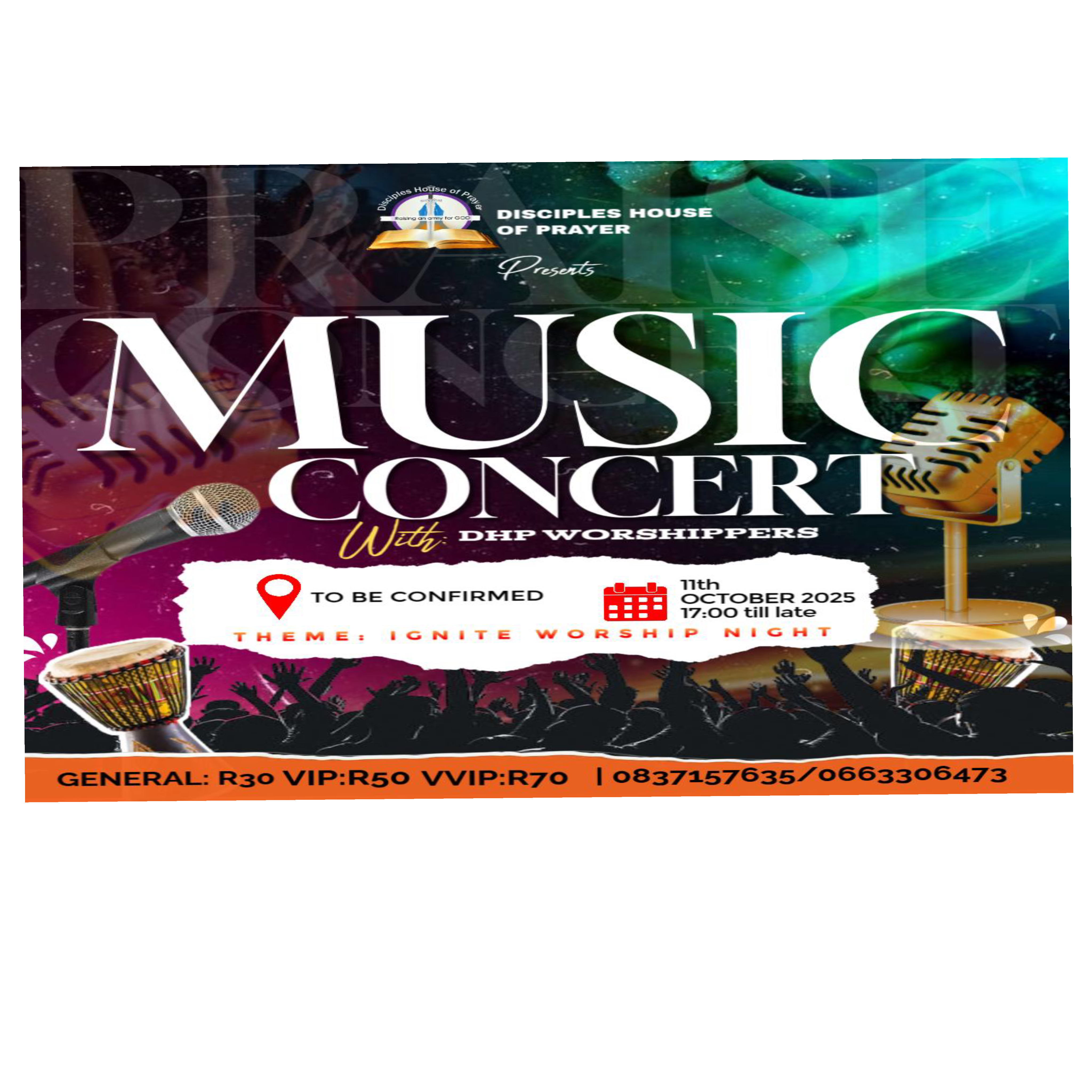 Music concert