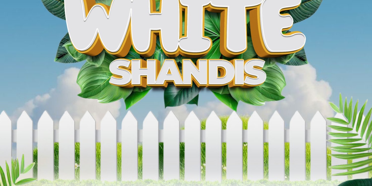 Denim and white Shandis 2025