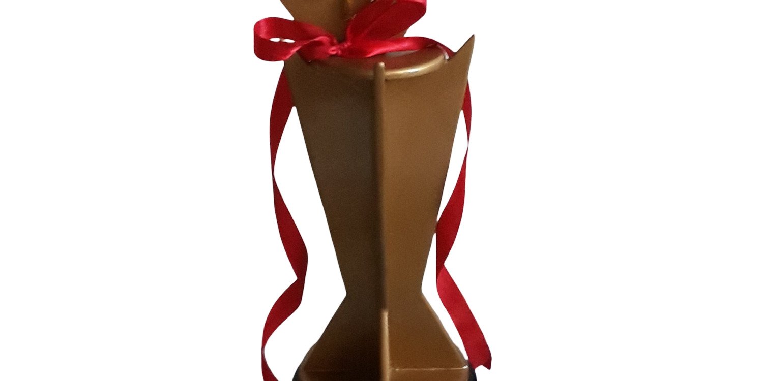 International roots music awards